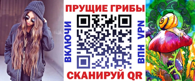 Галлюциногенные грибы Psilocybe Менделеевск